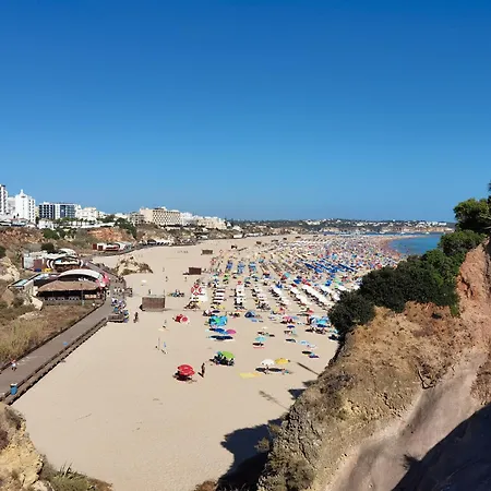 Rocha Cinza Apartment *